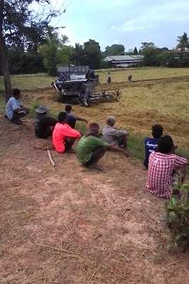 ขายรถเกี่ยวข้าว วิชาญการช่าง 280,000ราคาต่อรองได้ครับ เลิกกิจการครับ0621392425 ขายรถเกี่ยวข้าว วิชาญการช่าง 280,000ราคาต่อรองได้ครับ เลิกกิจการครับ0621392425