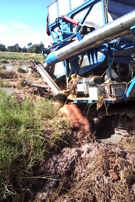 ขายรถเกี่ยวข้าว วิชาญการช่าง 280,000ราคาต่อรองได้ครับ เลิกกิจการครับ0621392425 ขายรถเกี่ยวข้าว วิชาญการช่าง 280,000ราคาต่อรองได้ครับ เลิกกิจการครับ0621392425