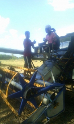 ขายรถเกี่ยวข้าว วิชาญการช่าง 280,000ราคาต่อรองได้ครับ เลิกกิจการครับ0621392425 ขายรถเกี่ยวข้าว วิชาญการช่าง 280,000ราคาต่อรองได้ครับ เลิกกิจการครับ0621392425