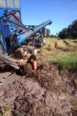 ขายรถเกี่ยวข้าว วิชาญการช่าง 280,000ราคาต่อรองได้ครับ เลิกกิจการครับ0621392425 ขายรถเกี่ยวข้าว วิชาญการช่าง 280,000ราคาต่อรองได้ครับ เลิกกิจการครับ0621392425