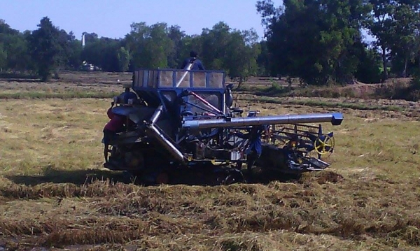 ขายรถเกี่ยวข้าว วิชาญการช่าง 280,000ราคาต่อรองได้ครับ เลิกกิจการครับ0621392425 ขายรถเกี่ยวข้าว วิชาญการช่าง 280,000ราคาต่อรองได้ครับ เลิกกิจการครับ0621392425