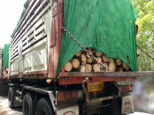 รถอีซูซุ 10 ล้อดั้ม FXZ  320  แรงม้า.  ปี 48  ( ขายแม่ , ลูก. )      สนใจติดต่อ  081 - 6079515