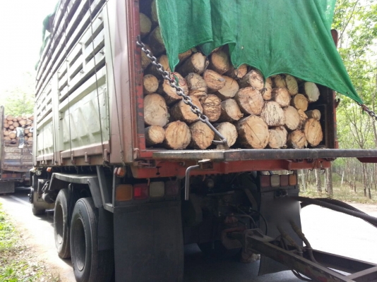 รถอีซูซุ 10 ล้อดั้ม FXZ  320  แรงม้า.  ปี 48  ( ขายแม่ , ลูก. )      สนใจติดต่อ  081 - 6079515