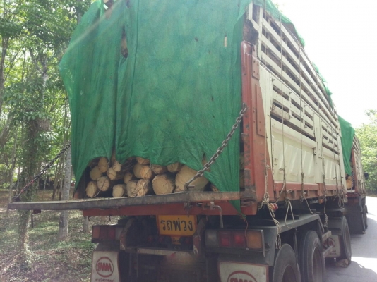 รถอีซูซุ 10 ล้อดั้ม FXZ  320  แรงม้า.  ปี 48  ( ขายแม่ , ลูก. )      สนใจติดต่อ  081 - 6079515