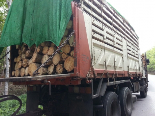 รถอีซูซุ 10 ล้อดั้ม FXZ  320  แรงม้า.  ปี 48  ( ขายแม่ , ลูก. )      สนใจติดต่อ  081 - 6079515