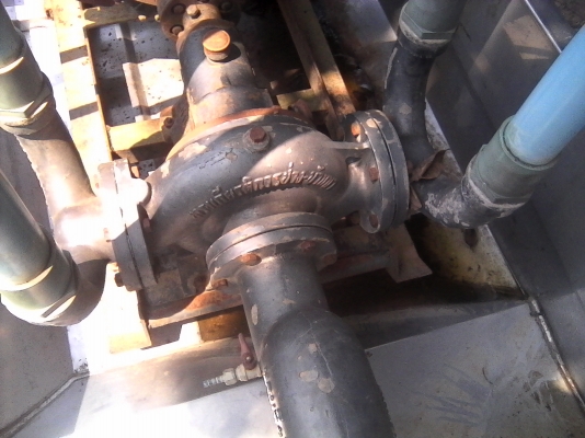 ของถูกครับ