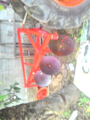 โครงสี่ผานสามใบ24ติด45.47ขาย25000ต่อรองนิดหน่อยได้