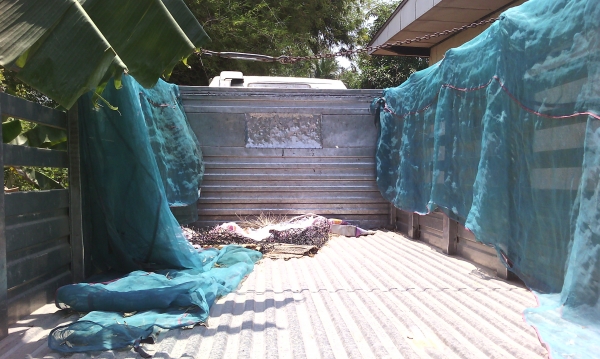 ขออนุญาติขายอีกครั้ง 378000