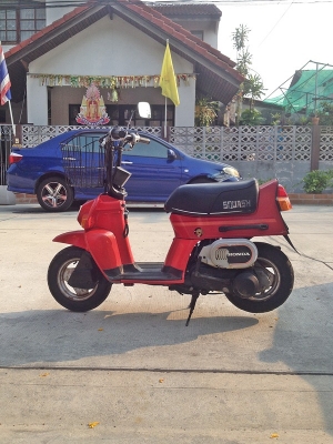 **** ขาย Honda Squash มือสองจากญี่ปุ่น ****