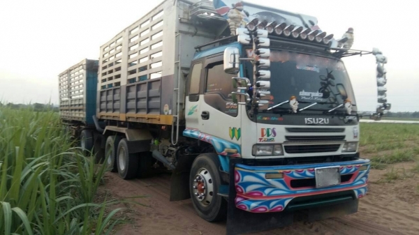 ขายรถพ่วง 22 ล้อ หรือ แม่เดี่ยว กระบะเหล็กคอกเกษตรดั้ม ISUZU 210 วางเครื่อง.320 โบอินเตอร์คูลเลอน์ เกียร์คูลเลอร์ รถสวยมากๆ ราคา.1100000 ต่อรอง สนใจรีบจองด่วน ขายรถพ่วง 22 ล้อ หรือ แม่เดี่ยว กระบะเหล็กคอกเกษตรดั้ม ISUZU 210 วางเครื่อง.320 โบอินเตอร์คูลเลอน์ เกียร์คูลเลอร์ รถสวยมากๆ ราคา.1100000 ต่อรอง สนใจรีบจองด่วน