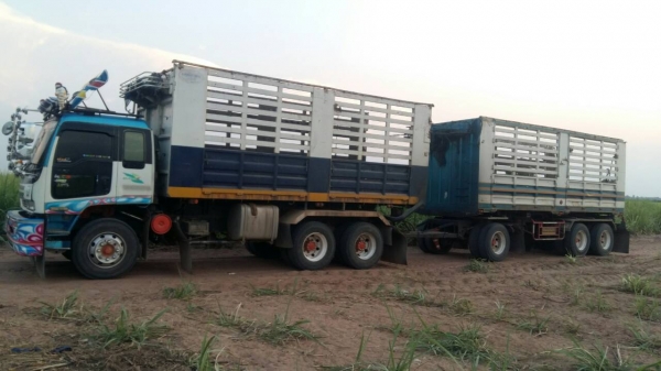 ขายรถพ่วง 22 ล้อ หรือ แม่เดี่ยว กระบะเหล็กคอกเกษตรดั้ม ISUZU 210 วางเครื่อง.320 โบอินเตอร์คูลเลอน์ เกียร์คูลเลอร์ รถสวยมากๆ ราคา.1100000 ต่อรอง สนใจรีบจองด่วน ขายรถพ่วง 22 ล้อ หรือ แม่เดี่ยว กระบะเหล็กคอกเกษตรดั้ม ISUZU 210 วางเครื่อง.320 โบอินเตอร์คูลเลอน์ เกียร์คูลเลอร์ รถสวยมากๆ ราคา.1100000 ต่อรอง สนใจรีบจองด่วน