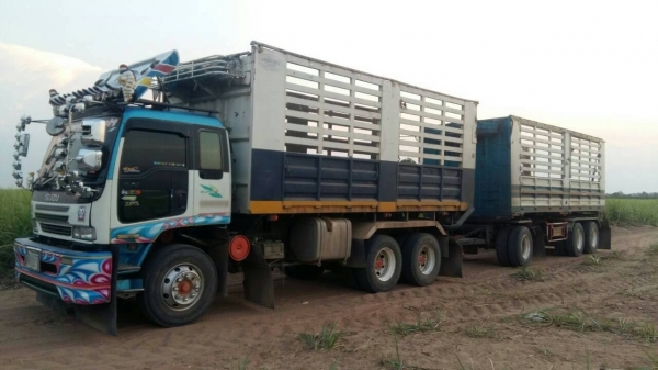 ขายรถพ่วง 22 ล้อ หรือ แม่เดี่ยว กระบะเหล็กคอกเกษตรดั้ม ISUZU 210 วางเครื่อง.320 โบอินเตอร์คูลเลอน์ เกียร์คูลเลอร์ รถสวยมากๆ ราคา.1100000 ต่อรอง สนใจรีบจองด่วน ขายรถพ่วง 22 ล้อ หรือ แม่เดี่ยว กระบะเหล็กคอกเกษตรดั้ม ISUZU 210 วางเครื่อง.320 โบอินเตอร์คูลเลอน์ เกียร์คูลเลอร์ รถสวยมากๆ ราคา.1100000 ต่อรอง สนใจรีบจองด่วน