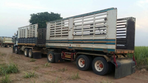 ขายรถพ่วง 22 ล้อ หรือ แม่เดี่ยว กระบะเหล็กคอกเกษตรดั้ม ISUZU 210 วางเครื่อง.320 โบอินเตอร์คูลเลอน์ เกียร์คูลเลอร์ รถสวยมากๆ ราคา.1100000 ต่อรอง สนใจรีบจองด่วน ขายรถพ่วง 22 ล้อ หรือ แม่เดี่ยว กระบะเหล็กคอกเกษตรดั้ม ISUZU 210 วางเครื่อง.320 โบอินเตอร์คูลเลอน์ เกียร์คูลเลอร์ รถสวยมากๆ ราคา.1100000 ต่อรอง สนใจรีบจองด่วน