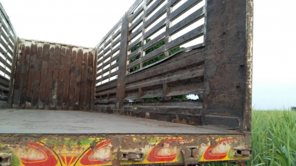 ขายรถพ่วง 22 ล้อ หรือ แม่เดี่ยว กระบะเหล็กคอกเกษตรดั้ม ISUZU 210 วางเครื่อง.320 โบอินเตอร์คูลเลอน์ เกียร์คูลเลอร์ รถสวยมากๆ ราคา.1100000 ต่อรอง สนใจรีบจองด่วน ขายรถพ่วง 22 ล้อ หรือ แม่เดี่ยว กระบะเหล็กคอกเกษตรดั้ม ISUZU 210 วางเครื่อง.320 โบอินเตอร์คูลเลอน์ เกียร์คูลเลอร์ รถสวยมากๆ ราคา.1100000 ต่อรอง สนใจรีบจองด่วน