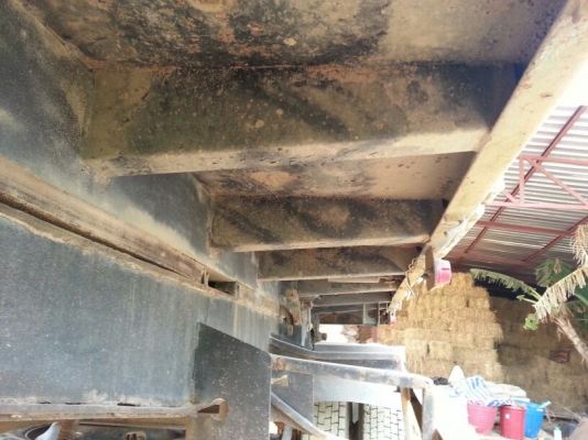 รถอีซูซุ 10 ล้อดั้ม FXZ  เปลื่ยนเครื่อง  270  แรงม้า. (  ขาวทำฟ้า. / ขาย แม่ , ลูก. )  สนใจติดต่อ 081 - 6079515