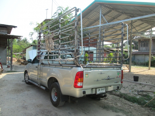 วีโก้ หัวเดียวปี49คอกสูงเพลาลอย พร้อมใช้ วีโก้ หัวเดียวปี49คอกสูงเพลาลอย พร้อมใช้