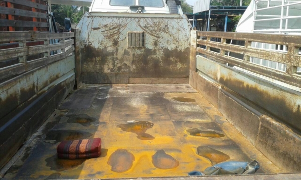 ISUZU6ล้อ ROCKYดั้ม (FRR )ชัชชีสวยจัดเครื่อง175แรงพวงมาลัยเพาเวอ เบรคจิ๊ฟี่ ยาง825ขอบ16 (ภาษีไม่ขาด) ขาย 475,000 บาท