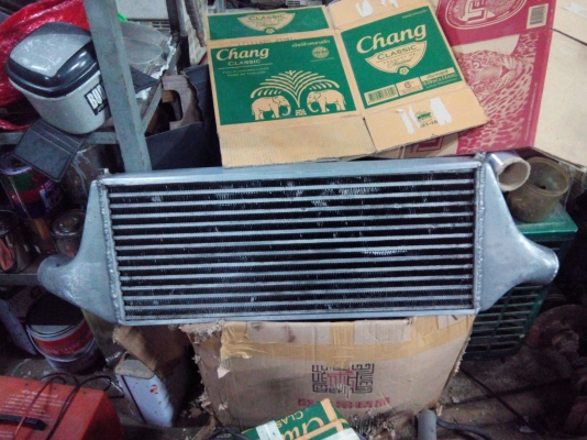 ขายอินเตอร์ ใบใหญ่ๆ ยาว27นิ้วสูง11นิ้วหนา3นิ้ว 3000