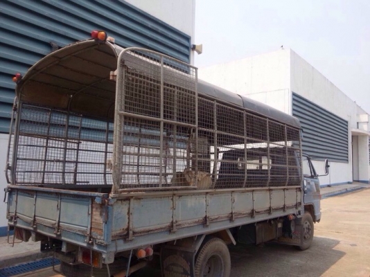 ขาย NPR 59 LU5M 115 แรงม้า 4 BD1 ปี 1994 จด 1995