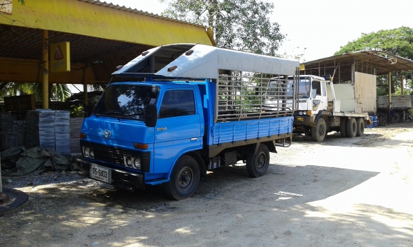 ขายรถกระบะมือ 2 สภาพดีพร้อมใช้งาน