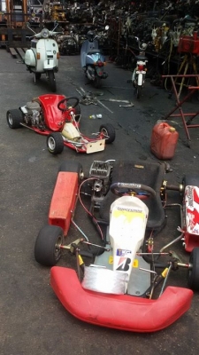 ขายโกคาส