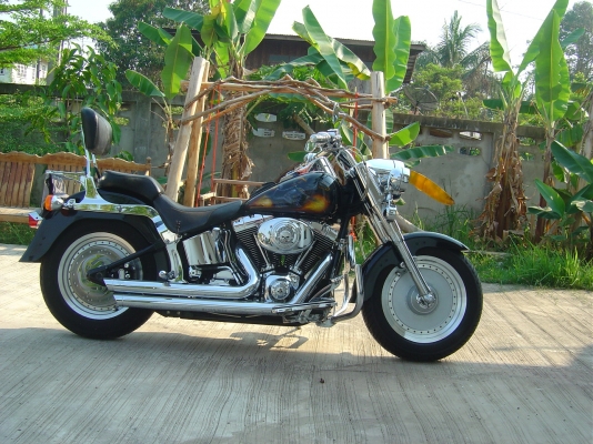 Harley Davidson Fatboy Custom 88ci Twin Cam Harley Davidson Fatboy Custom 88ci Twin Cam