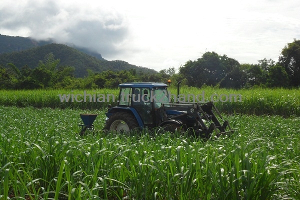 ขายแล้วขอบคุณโก้มิตร-เจ๊ตามากครับ ชุดตักหน้ารถไถฟอร์ด FAUCHEUX F2 ตรงรุ่น40NH แต่เอาไปใส่คูโบต้าM6040ครับ