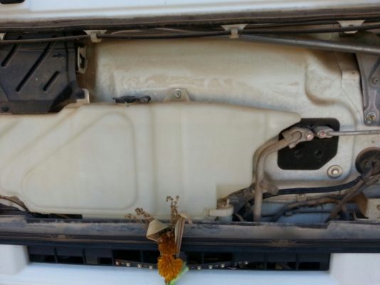 รถอีซูซุ 6 ล้อดั้ม FRR  210 แรงม้า. ปี 54  ( รถวิ่ง 6x,xxx กม. )     สนใจติดต่อ  081 - 6079515