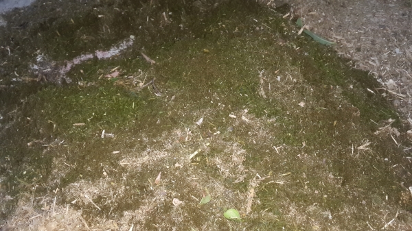 เครื่องย่อยกิ่งไม้ ใหญ่ๆๆๆ เครื่องย่อยกิ่งไม้ ใหญ่ๆๆๆ