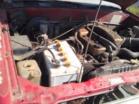 ขายคู่ครับ  อีชุชุ  TFR90ปี36  สีขาว    TFR87 ปี34 สีแดง  รถประมูลครับ  เอกสารต้องรอ30วัน  ราคา185000ต่อรองนิดหน่อย