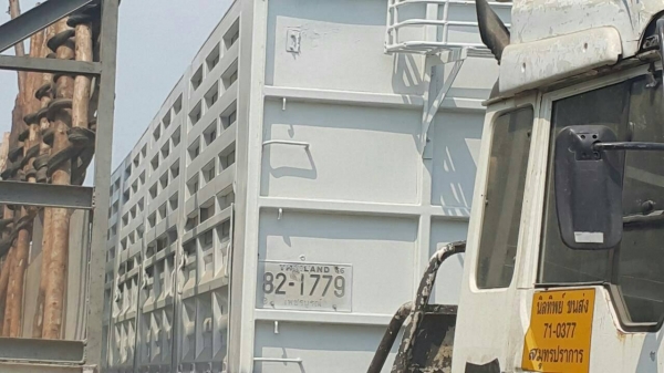 หางคอก2 เพลา ไม่ดัมพ์ พนัส 230,000 ไม่รวมยาง