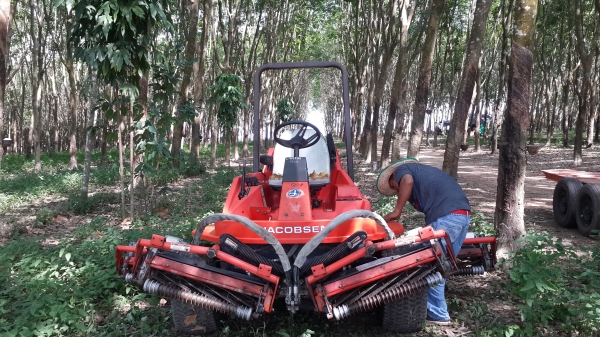 ขายด่วน รถตัดหญ้า 5 ใบตัด JACOBSEN รถนอกแท้