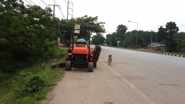 ขายด่วน รถตัดหญ้า 5 ใบตัด JACOBSEN รถนอกแท้