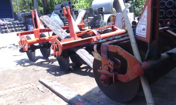 ขาย หาง 5 จำนวน 2 หาง ใส่ 28-34 ใบ 22 หาง 6-7 ใบ 24 ใส่ 50 ขึ้นไป