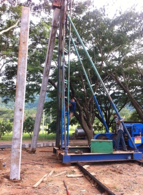 ขายปั้นจั่นสามขา