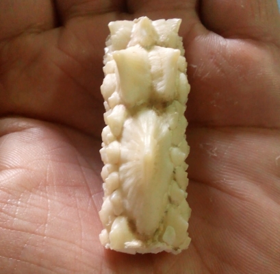 หัวกระเบนท้องน้ำ ทำหัวแหวน สวยๆเลยครับ