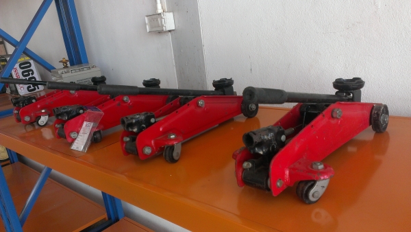 ขายแม่แรง จระเข้