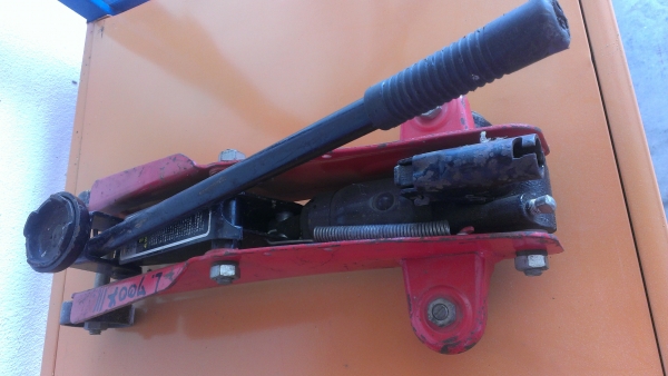 ขายแม่แรง จระเข้