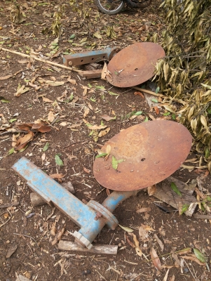 ขายผานขุดมัน และผานยกร่อง