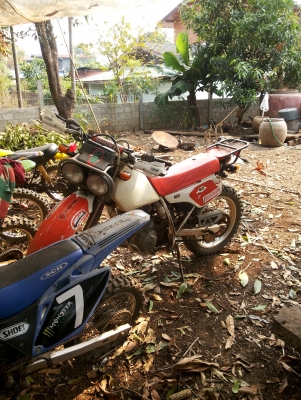 ขายบาจา 250