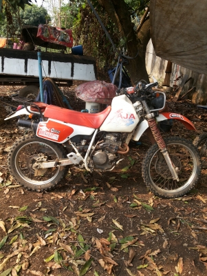 ขายบาจา 250