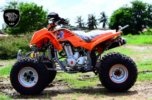 卐卐卐卐卐ใหม่ !!!!! เอทีวี รุ่น UPGRADE ราคาสุดคุ้ม... ถูกมากๆๆ ราคาเริ่มต้นเพียง 29000 ATV MINI BEAR 110 CC /  ATV BIG BEAR 125CC /  ATV BIG BEAR 150 CC  ราคาถูกq卐卐卐卐