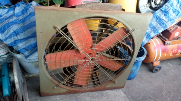 ขาย !! พัดลมไก่