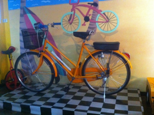 Crocodile Sport USA Copyright