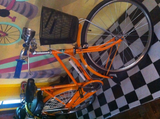 Crocodile Sport USA Copyright