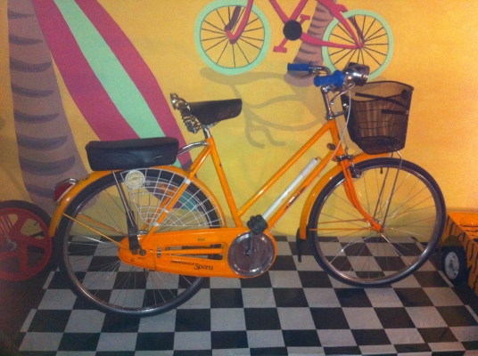 Crocodile Sport USA Copyright