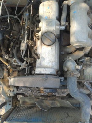 ขายอีแต๋นดั้มได้