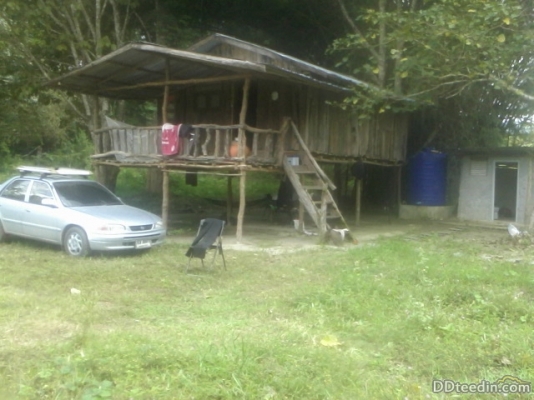 ขายที่ดิน พร้อมบ้านเก่า พุน้ำร้อน ค่านทวาย กาญจนบุ่รึ