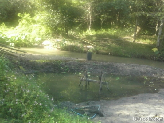 ขายที่ดิน พร้อมบ้านเก่า พุน้ำร้อน ค่านทวาย กาญจนบุ่รึ