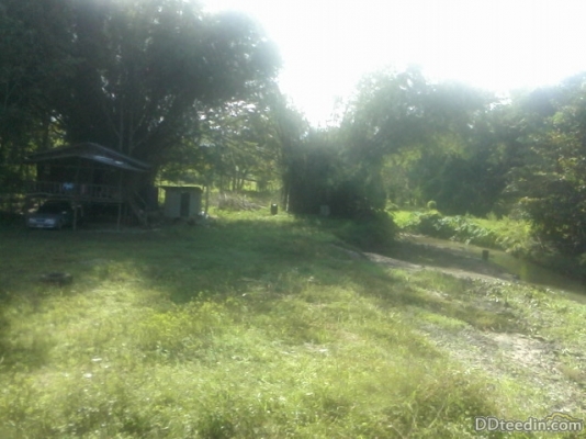 ขายที่ดิน พร้อมบ้านเก่า พุน้ำร้อน ค่านทวาย กาญจนบุ่รึ